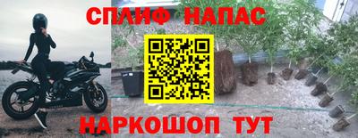 бошки Малгобек