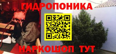 бошки Малгобек